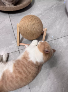 Cat Scratching Board With Sword Ball